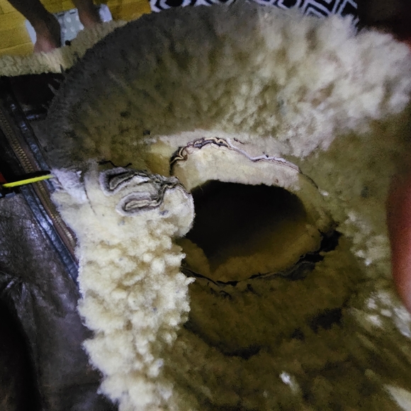 AVIREX type B3  Size 36 - Picture 13 of 15